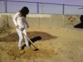 /album/galeria%20de%20fotos%3a%20comemora%c3%a7%c3%a3o%20do%20dia%20da%20arvore/a110321-151613-jpg/