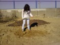 /album/galeria%20de%20fotos%3a%20comemora%c3%a7%c3%a3o%20do%20dia%20da%20arvore/a110321-151620-jpg/