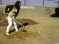 /album/galeria%20de%20fotos%3a%20comemora%c3%a7%c3%a3o%20do%20dia%20da%20arvore/a110321-151653-jpg/
